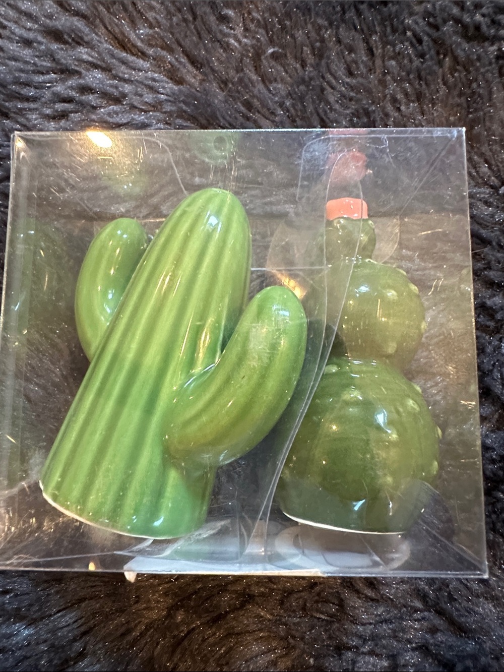 Green Cactus Ceramic Salt & Pepper Shaker Set - Home Party Supplies